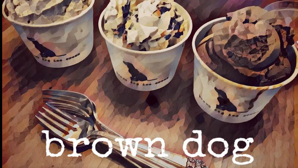 brown-dog-ice-cream