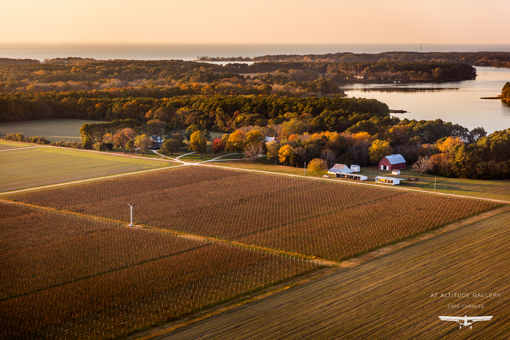 chatham-vineyards-on-church-creek
