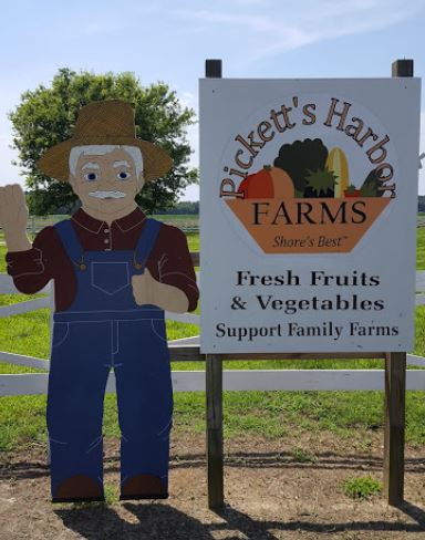 picketts-harbor-farms