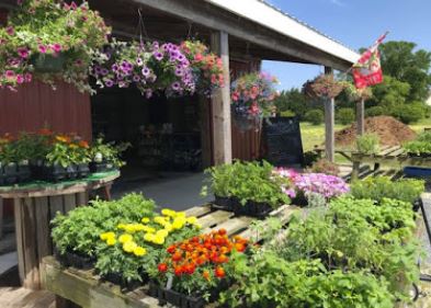shockley-farms