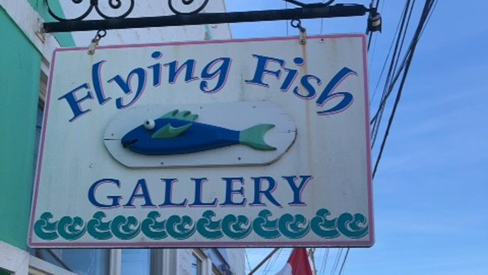 the-flying-fish