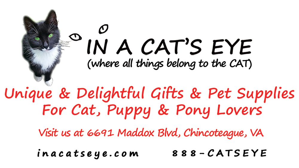 in-a-cats-eye-delightful-and-unique-gifts-for-pet-lovers