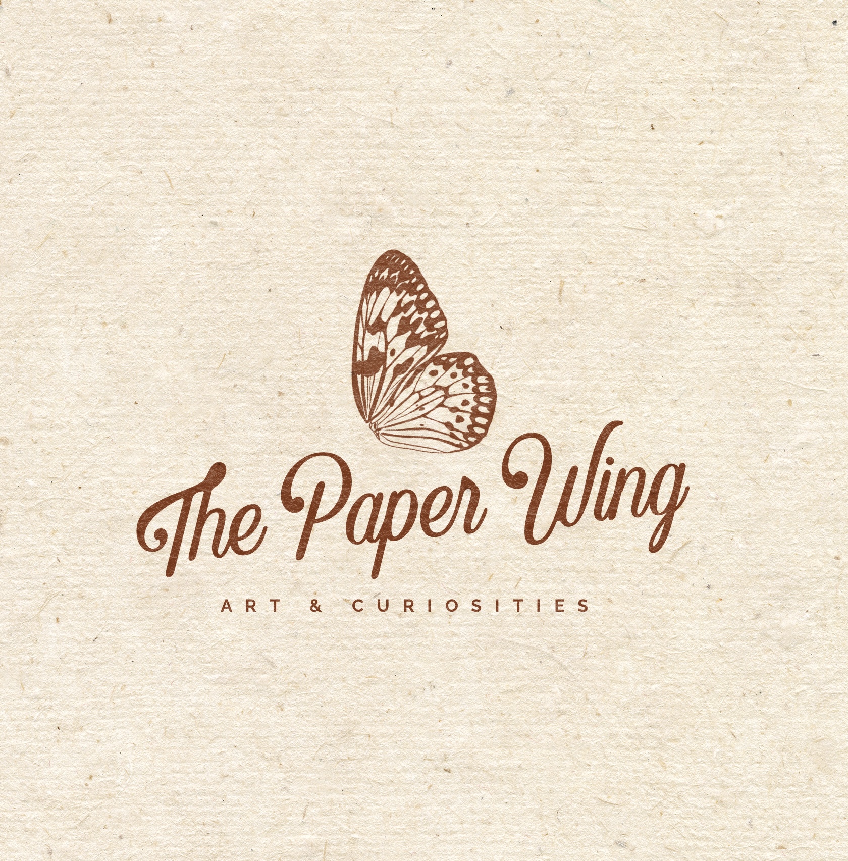 the-paper-wing