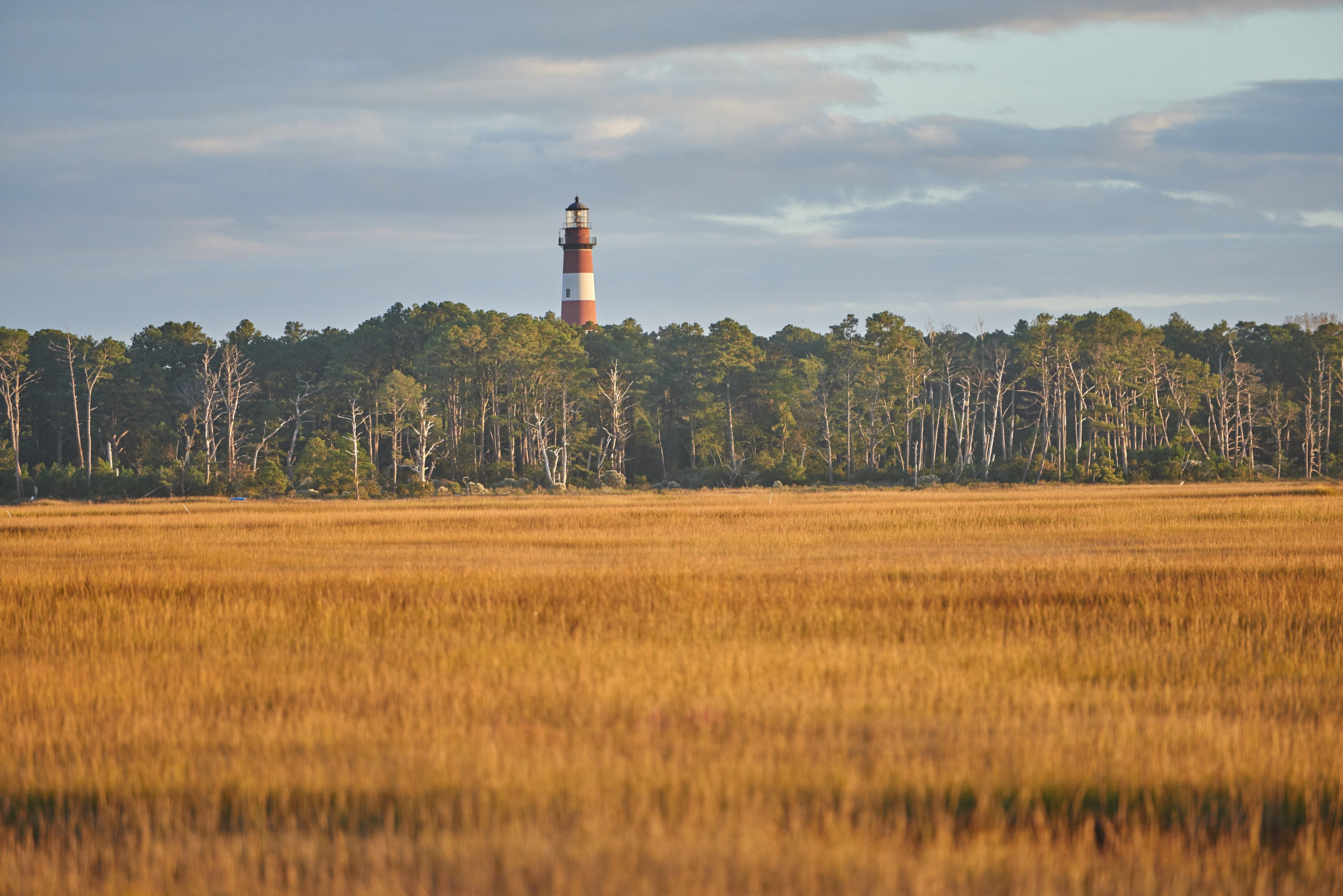 chincoteague-island-koa