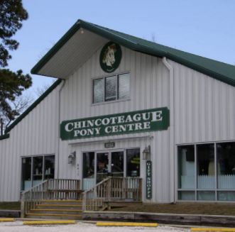 chincoteague-pony-centre