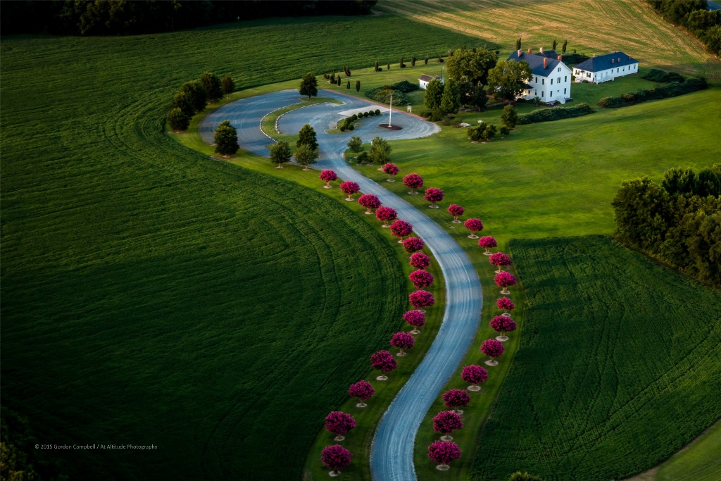 the-county-almshouse