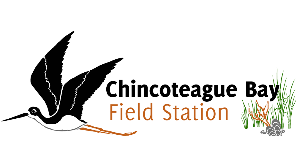 chincoteague-bay-field-station
