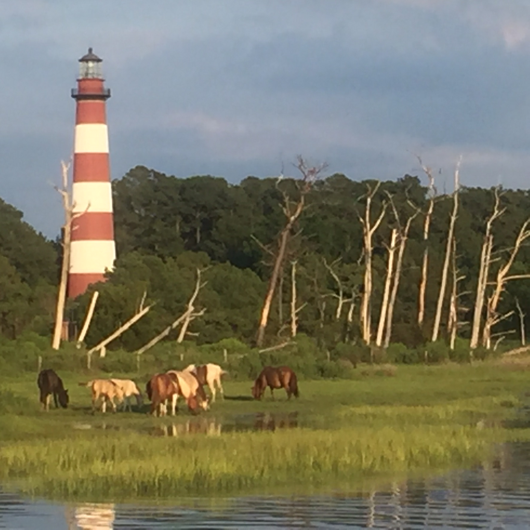chincoteague-island-adventures