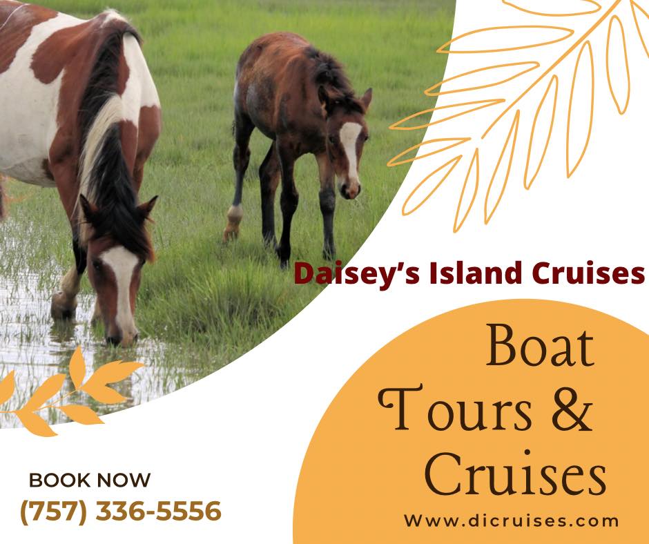 daiseys-island-cruises