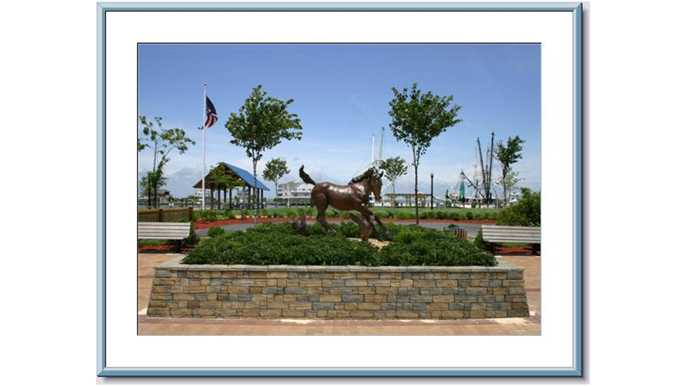 misty-of-chincoteague-foundation-inc