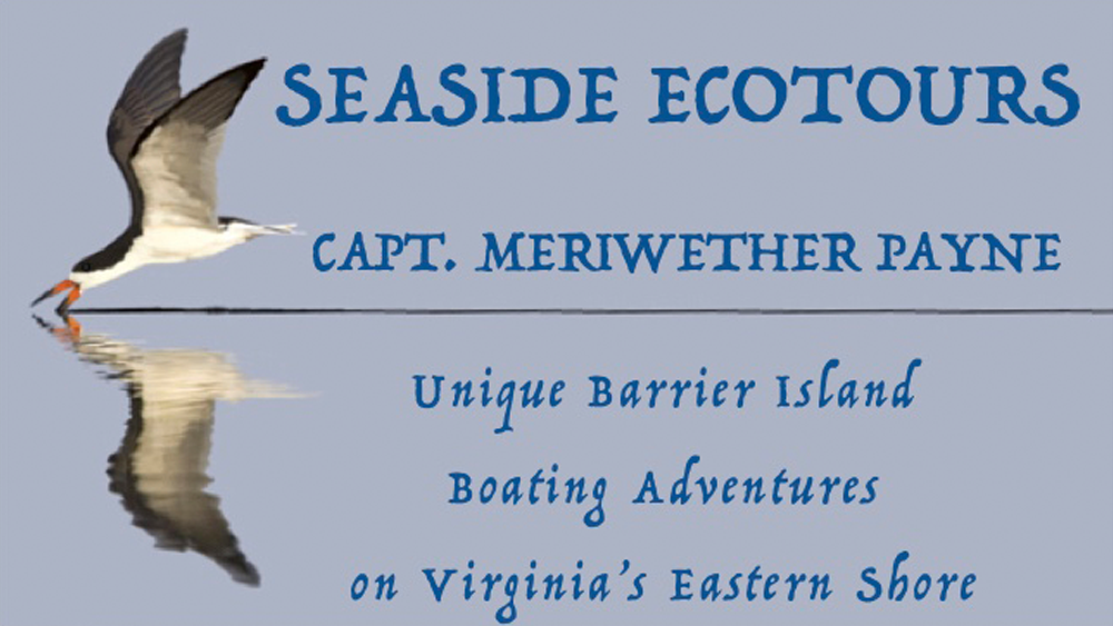 seaside-ecotours