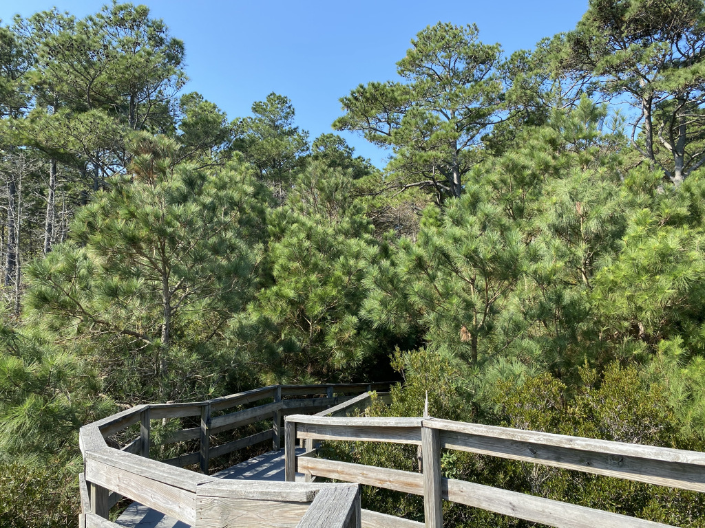 seaside-walkway