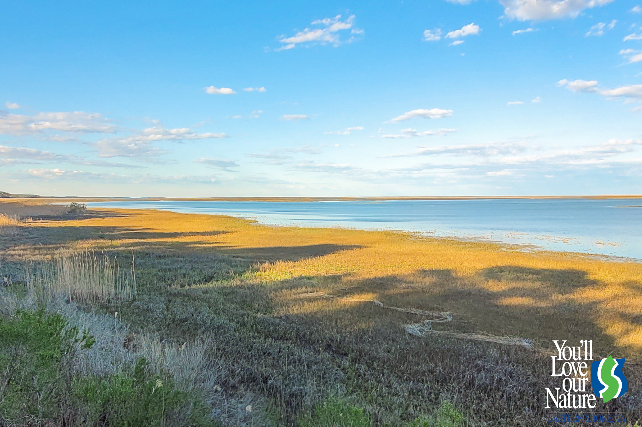 birding-and-wildlife-trail-edward-s-brinkley-nature-preserve