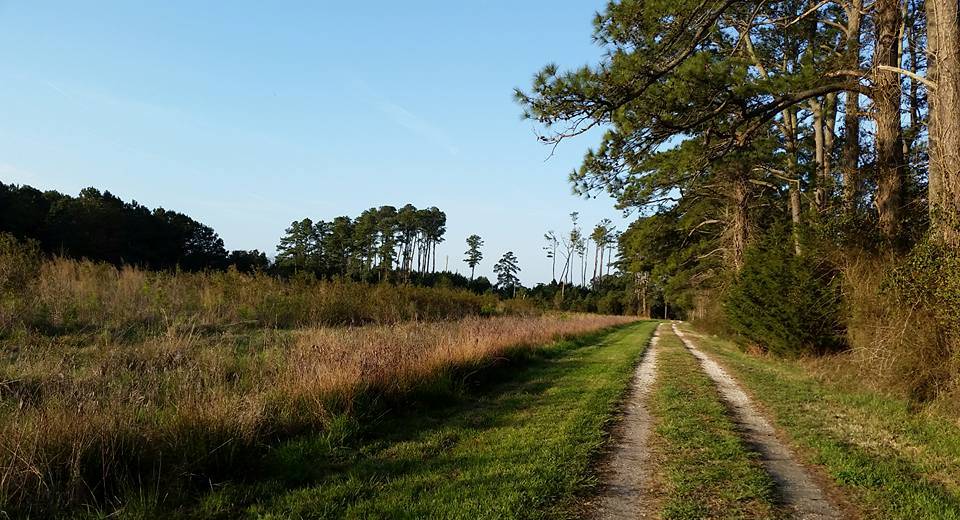 the-nature-conservancys-brownsville-preserve-birding-trail