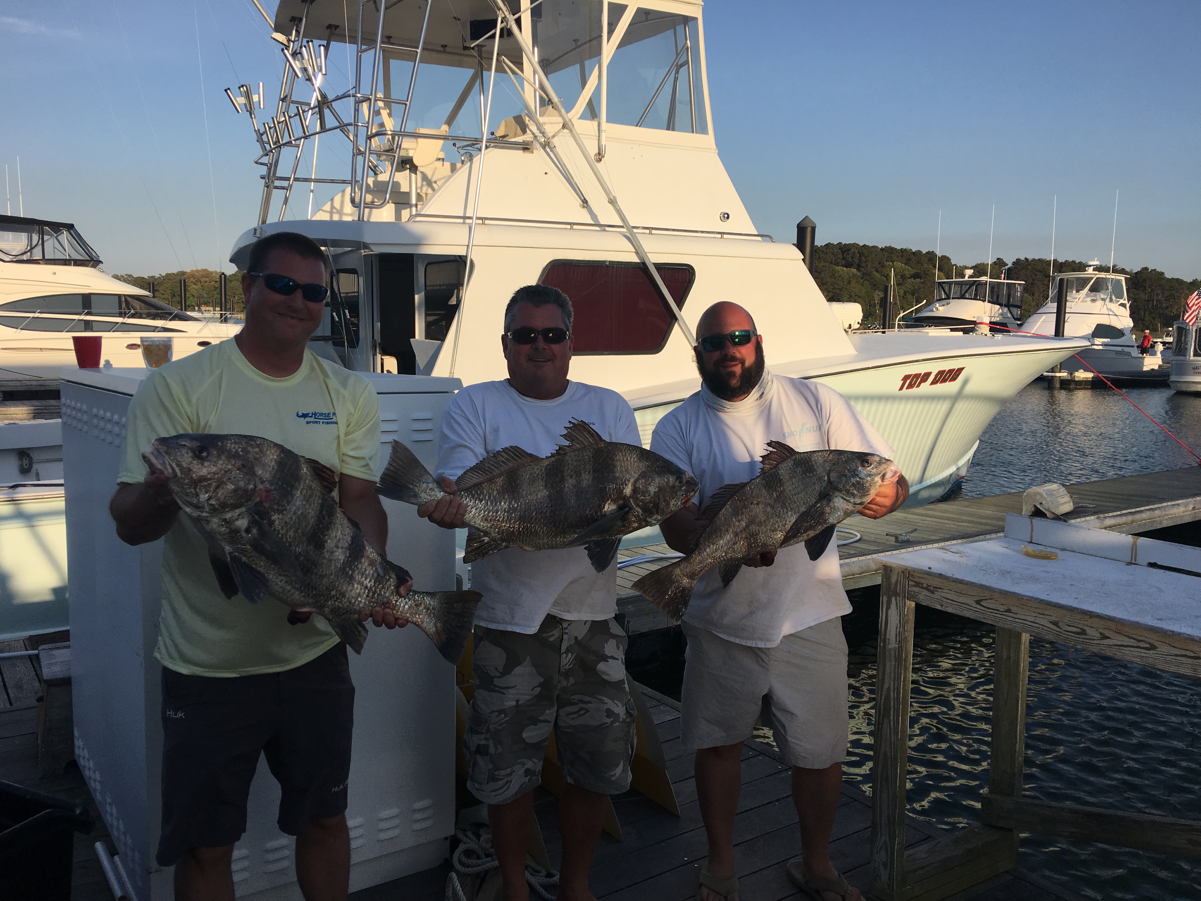 top-dog-charters