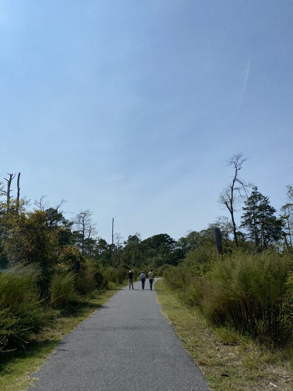 the-woodland-trail-at-chincoteague-national-wildlife-refuge