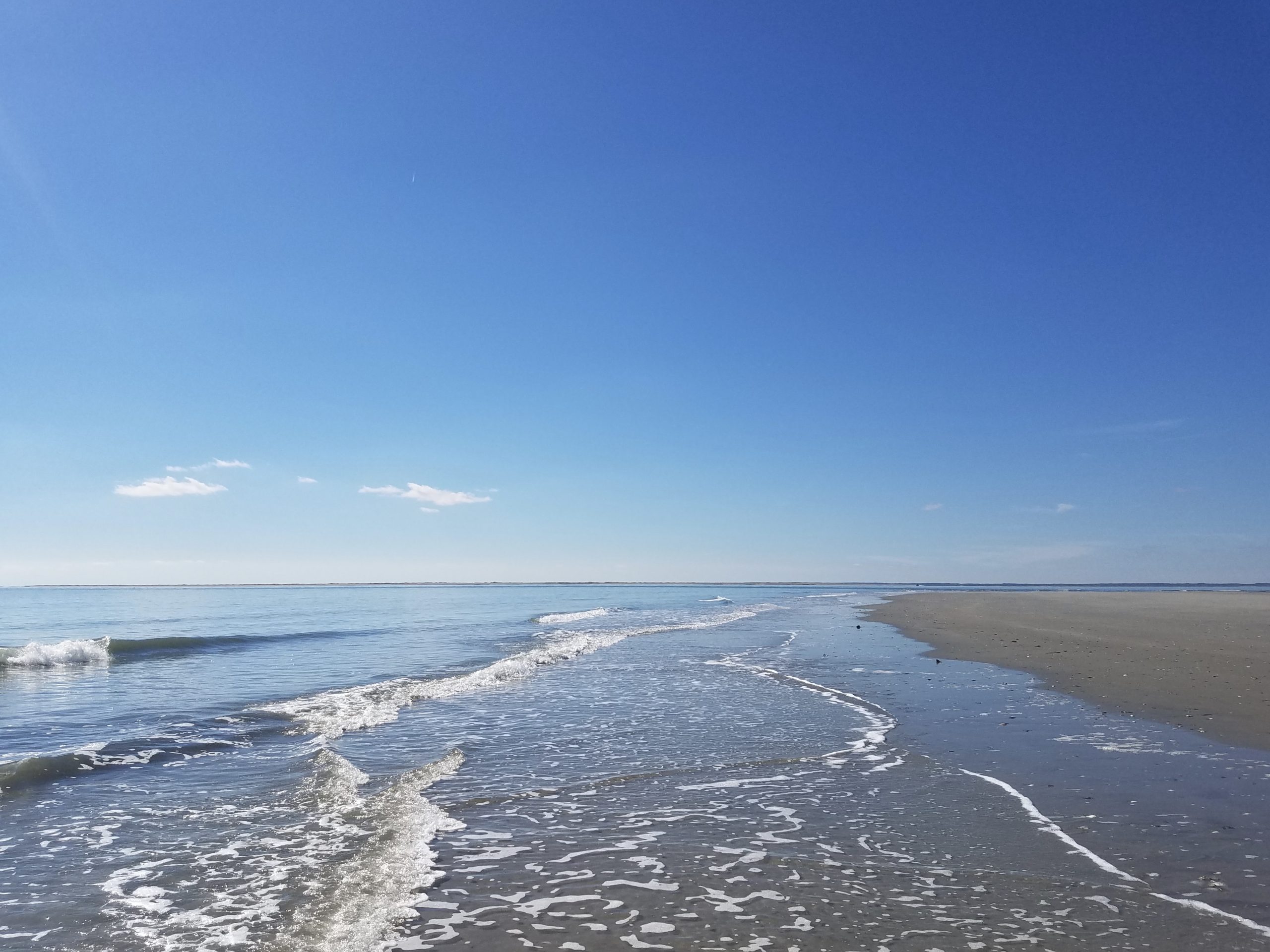 nine-best-reasons-to-visit-virginias-eastern-shore