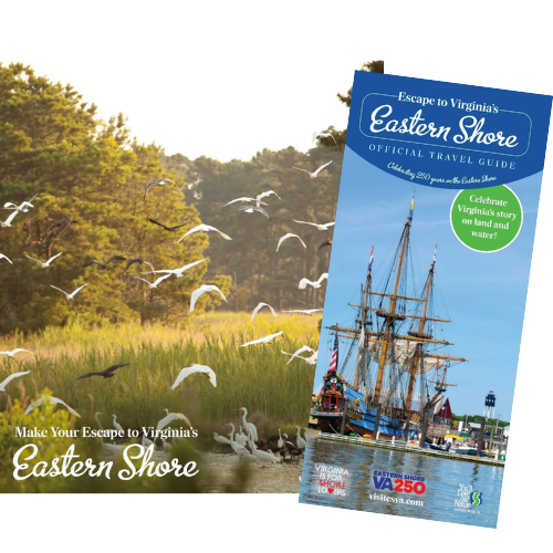 Flipbook Travel Guide