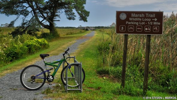 marsh-trail-chincoteague-national-wildlife-refuge