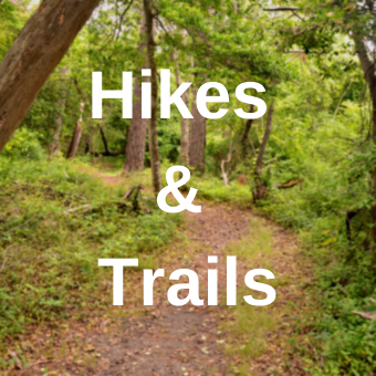 Hikes-Trails