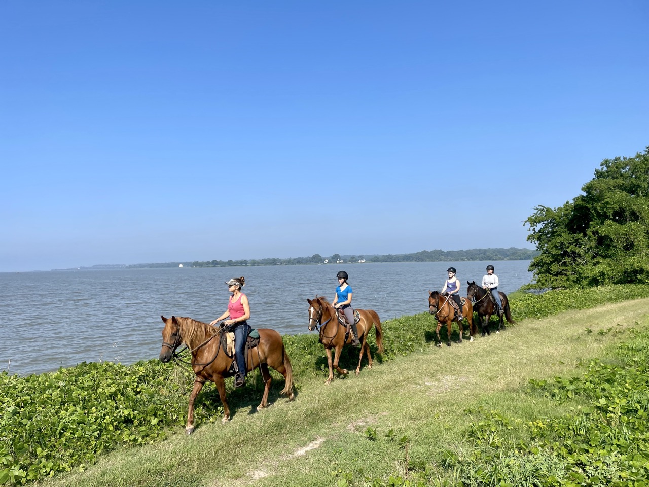 group of people riding horses on Virginia's Eastern Shore