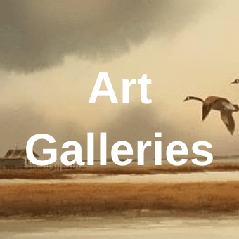 art-galleries