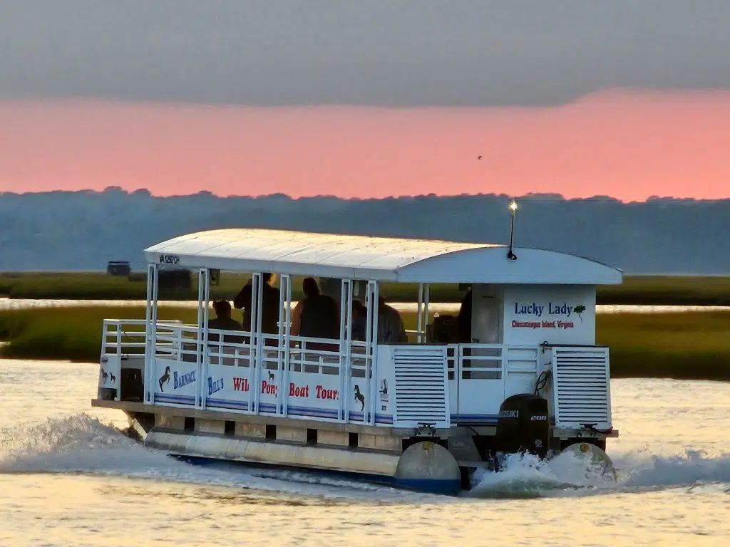 barnacle-bills-wild-pony-boat-tours