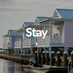 stay