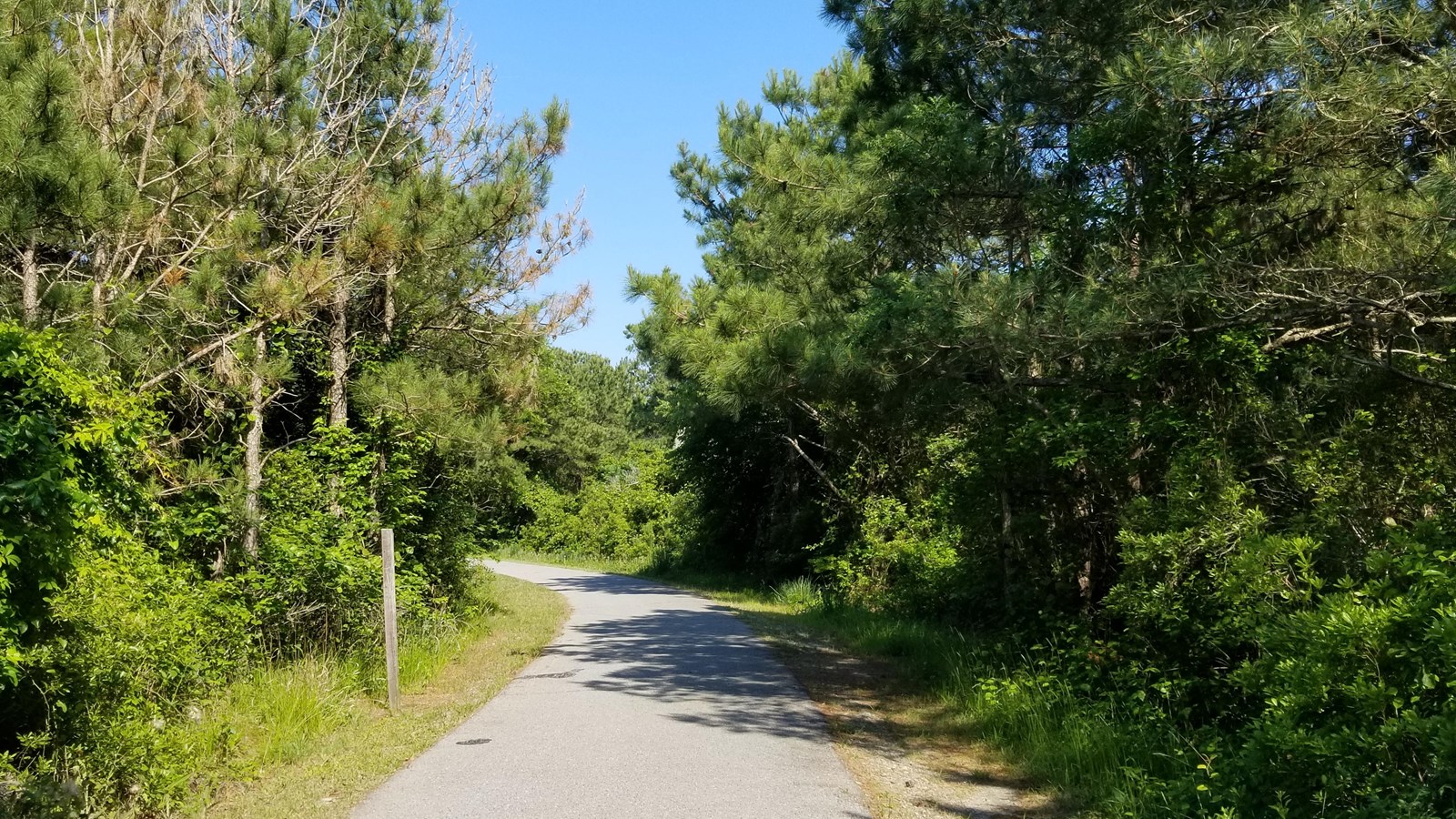 swan-cove-trail-chincoteague-national-wildlife-refuge